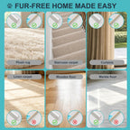 Philorn carpet rake cleaning dog hair from living room rug
