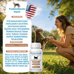 Fenbendazole broad spectrum treatment for feline digestive health