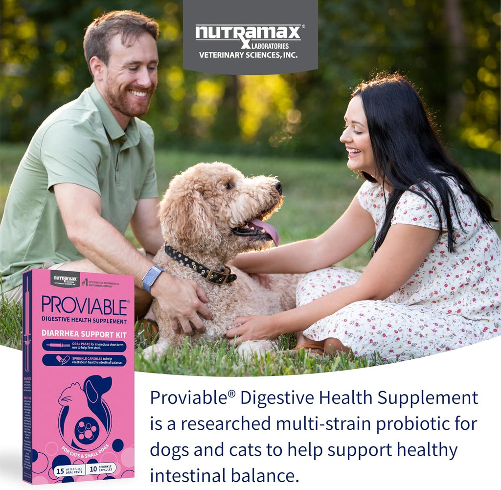 Nutramax Proviable 15 milliliter oral paste syringe for pets