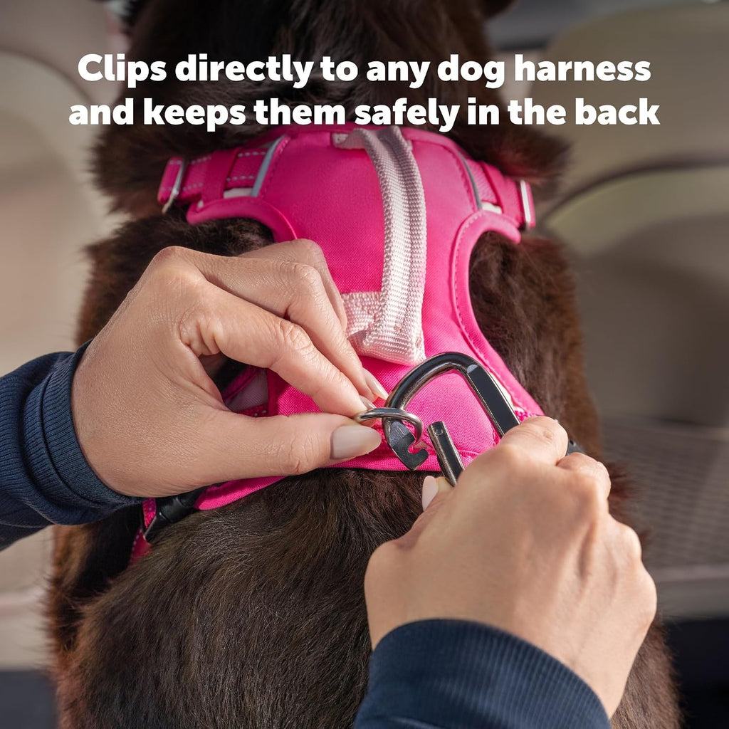 Stainless steel carabiner clip for dog safety
