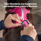 Stainless steel carabiner clip for dog safety