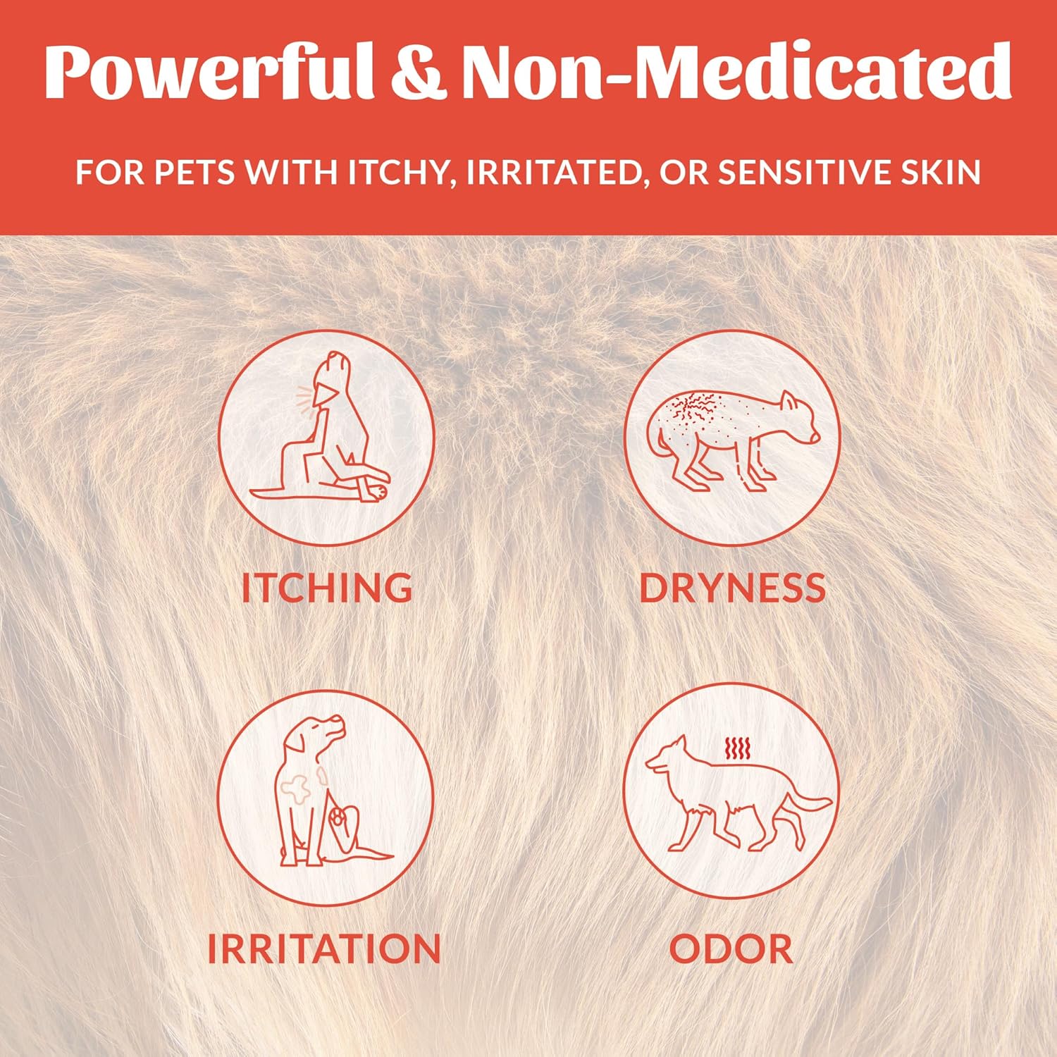 Skout's Honor vegan probiotic spray bottle back label showing complete ingredient list