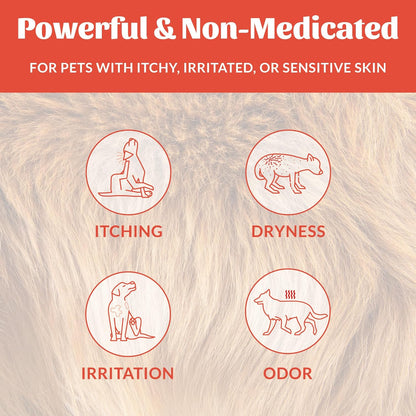 Skout's Honor vegan probiotic spray bottle back label showing complete ingredient list
