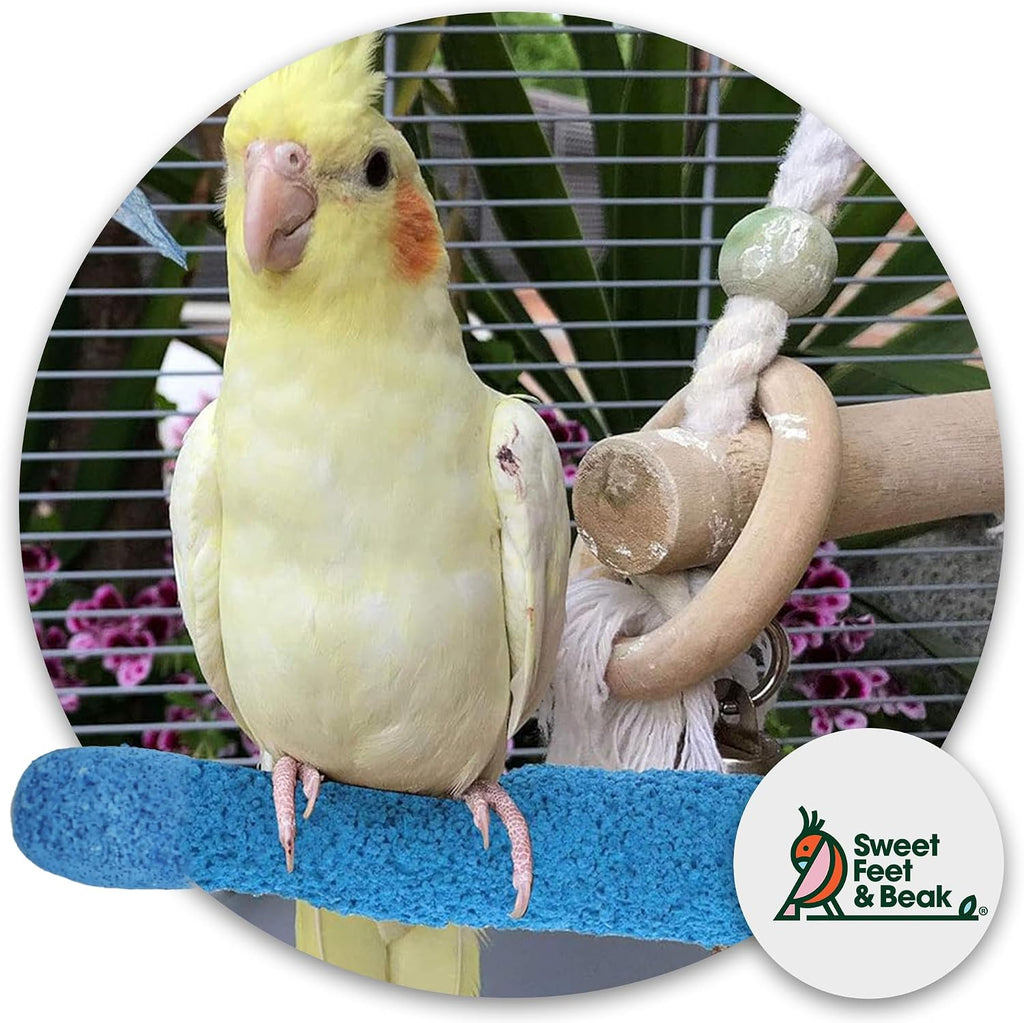 Sweet Feet and Beak Comfort Grip Safety Bird Perch, X-Large Pedicure Perch - Image 2