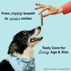 Twenty ounce bag of authentic imported chicken flavor dog dental bones