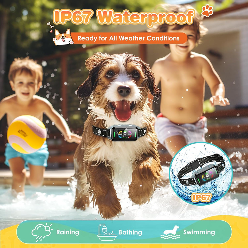 Dinjoo pet training collar showing sensitivity levels