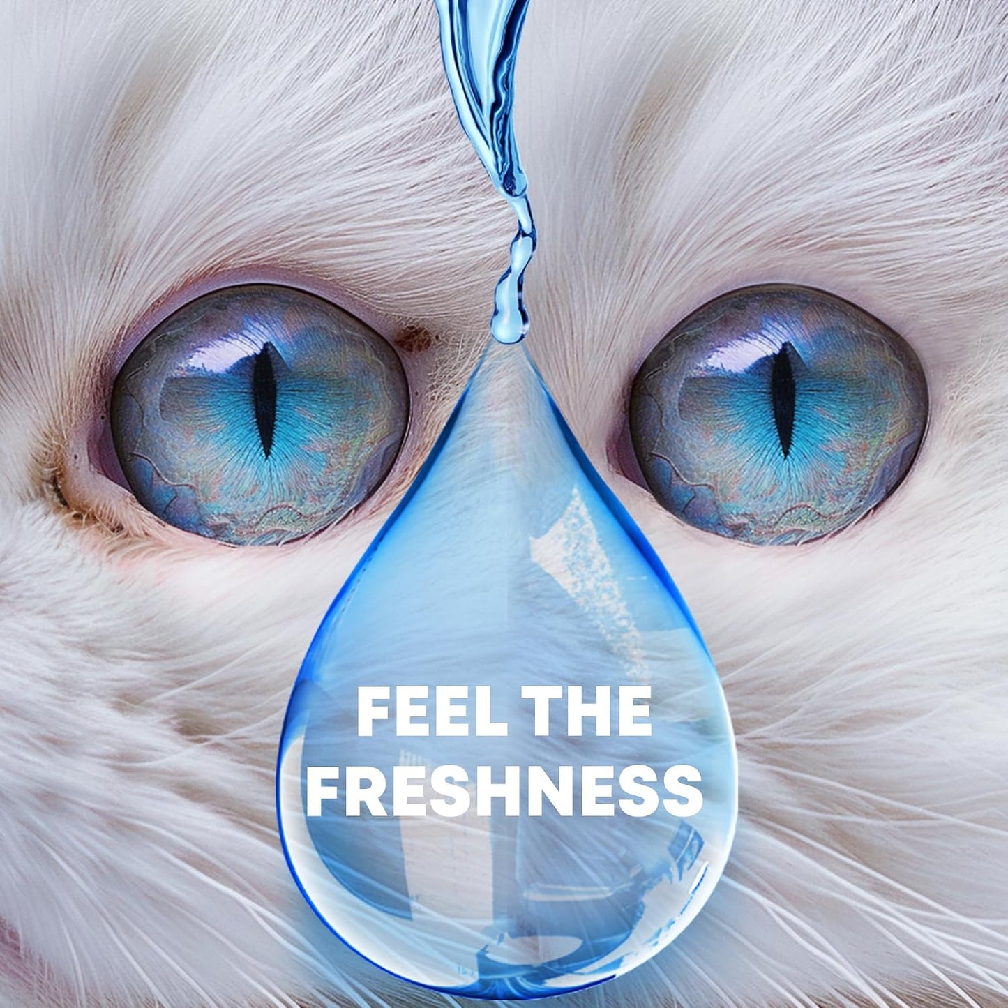 Authentic imported USA pet eye wash liquid application example.