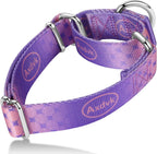 Martingale Dog Collar Colorful Gradient Fashionable - Anti-Escape Soft Durable Pets Collar for Walking Training Outdoor Daily Use -Medium, Purple Green - Image 11