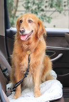Adjustable nylon dog seat belt for car travel