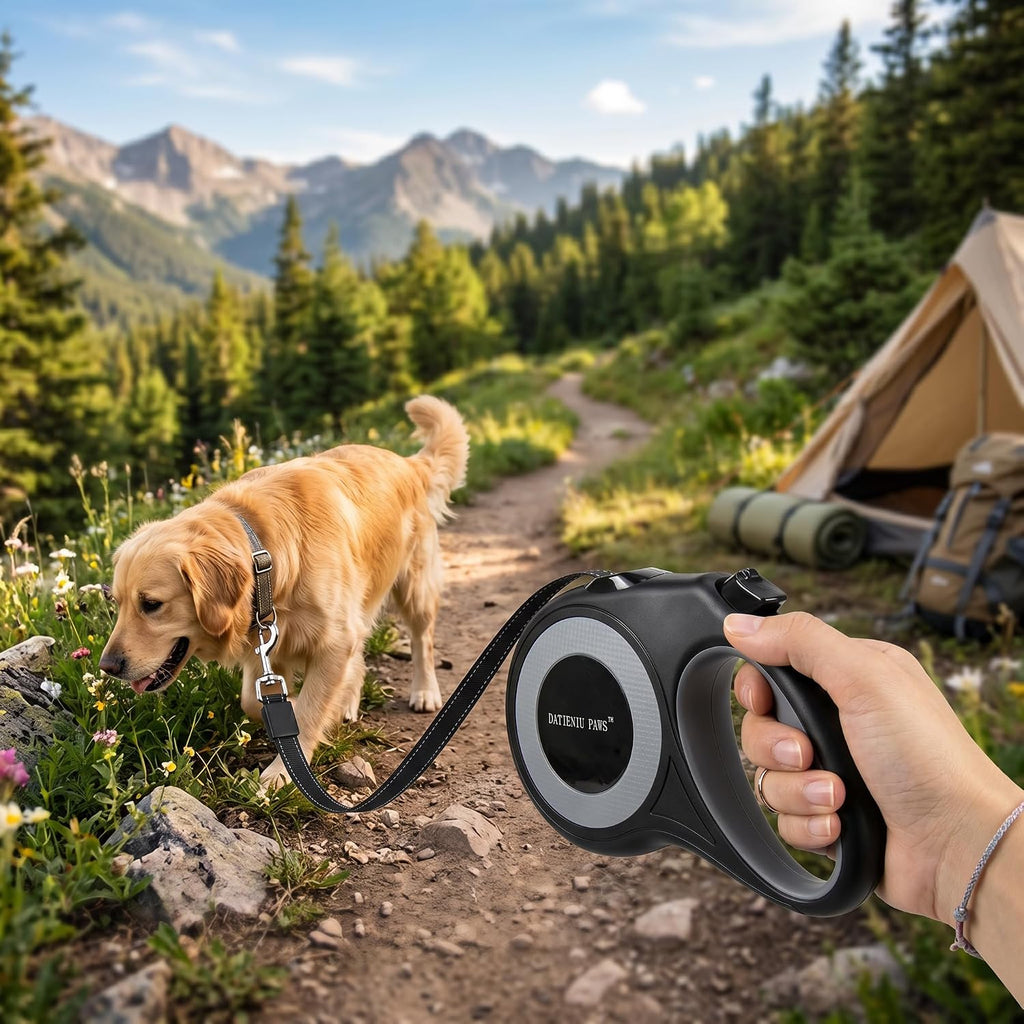 Datieniu Paws large dog leash brake and lock button