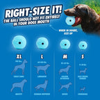 Chuckit! Whistler ball pair compatible with launcher for outdoor play