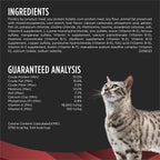 Close up of the red DM lettering and brand logo on the veterinary cat food bag.