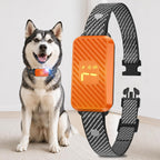 KJKZO smart dog bark collar front view in neon orange
