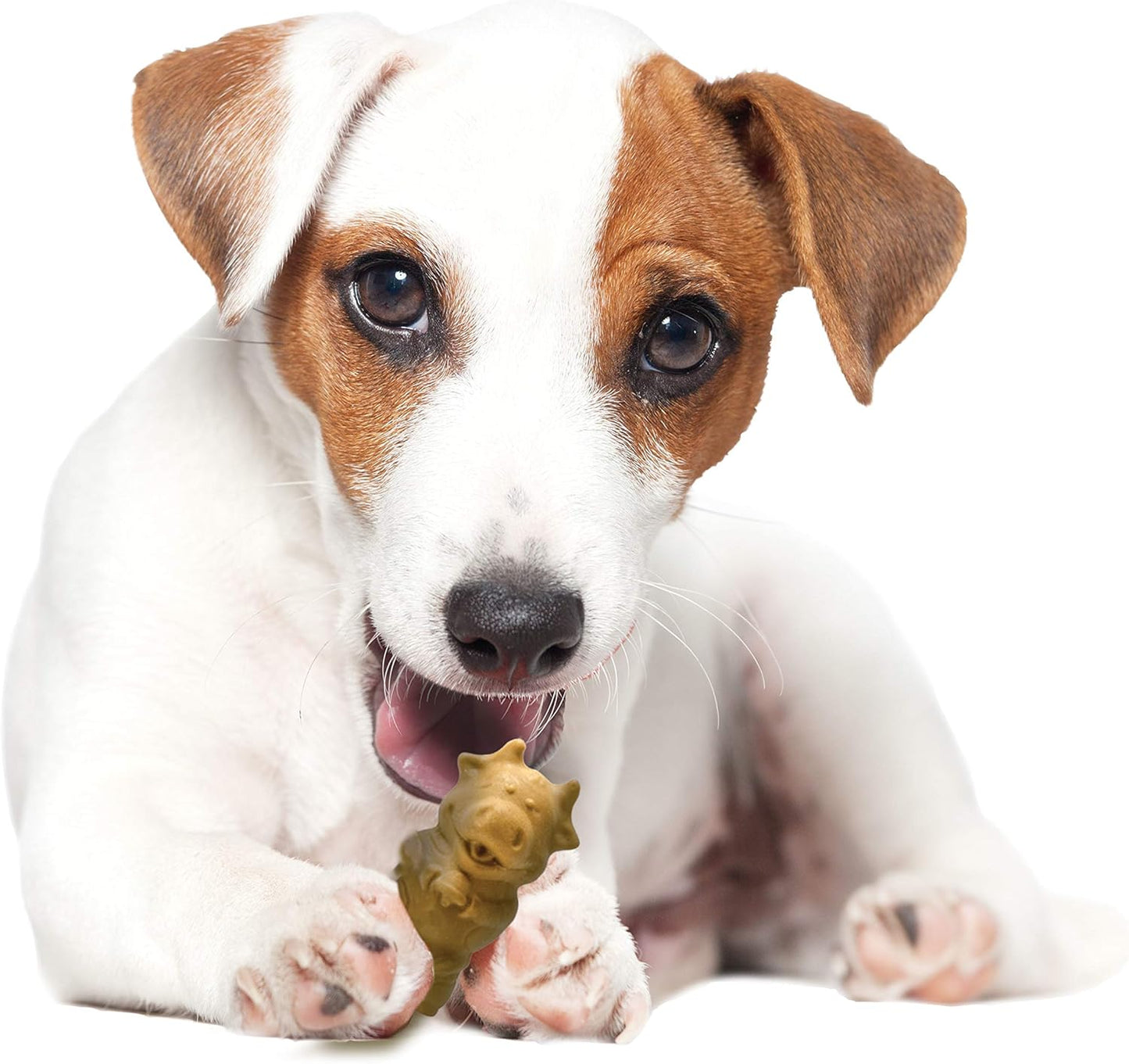 Nylabone Healthy Edibles Natural Puppy Chews Long Lasting Treats for Puppies, Lamb & Apple Flavor, Small/Regular (12 Count) - Image 10