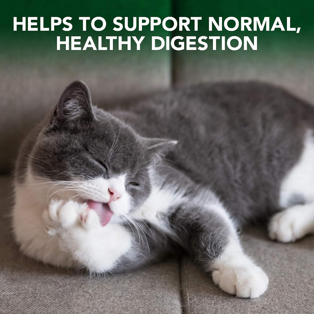 Natural plant based hairball relief remedy for cats close up look