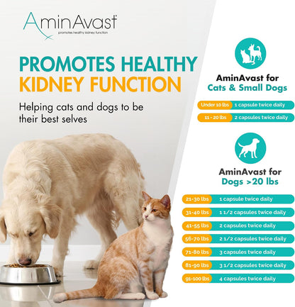 AminAvast Small Dogs & Cat Kidney Support - Promotes Healthy Kidney Support in Cats & Small Dogs - 300mg, 60 Capsule - Image 9