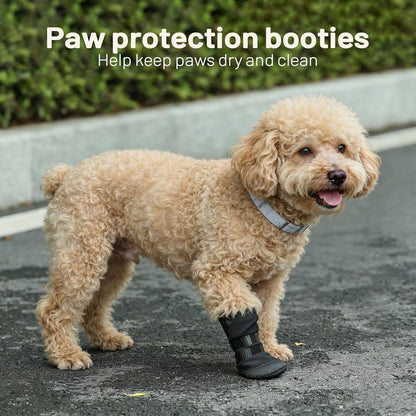 Dog wearing Letsqk recovery boot with adhesive strap