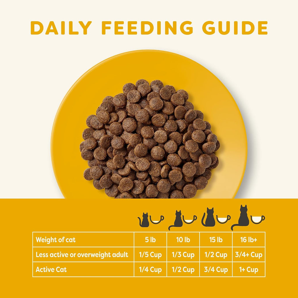 Adult cat eating Applaws dry food from a bowl