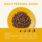 Adult cat eating Applaws dry food from a bowl