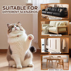 Cat near sofa corner with protective vinyl applied