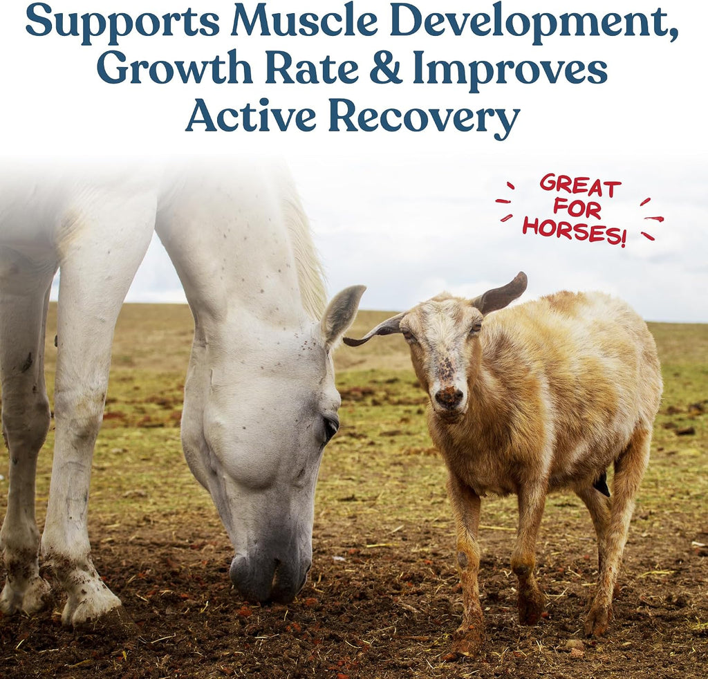 Feeding guidelines chart for Manna Pro Calf-Manna