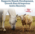 Feeding guidelines chart for Manna Pro Calf-Manna