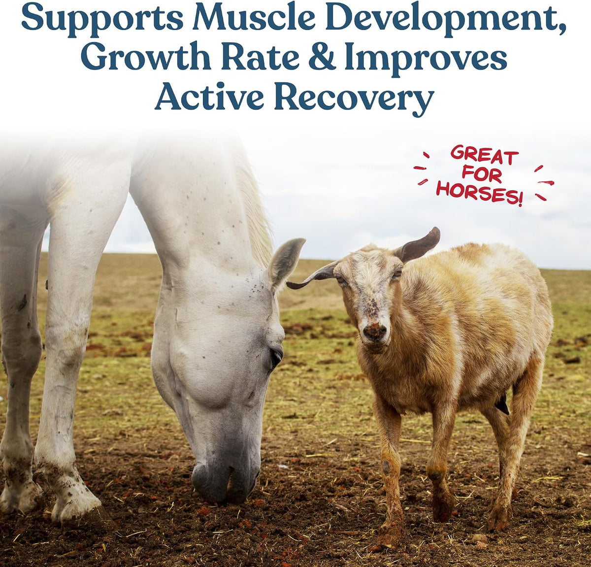 Feeding guidelines chart for Manna Pro Calf-Manna