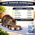 Broad spectrum treatment bottle for roundworms hookworms and tapeworms