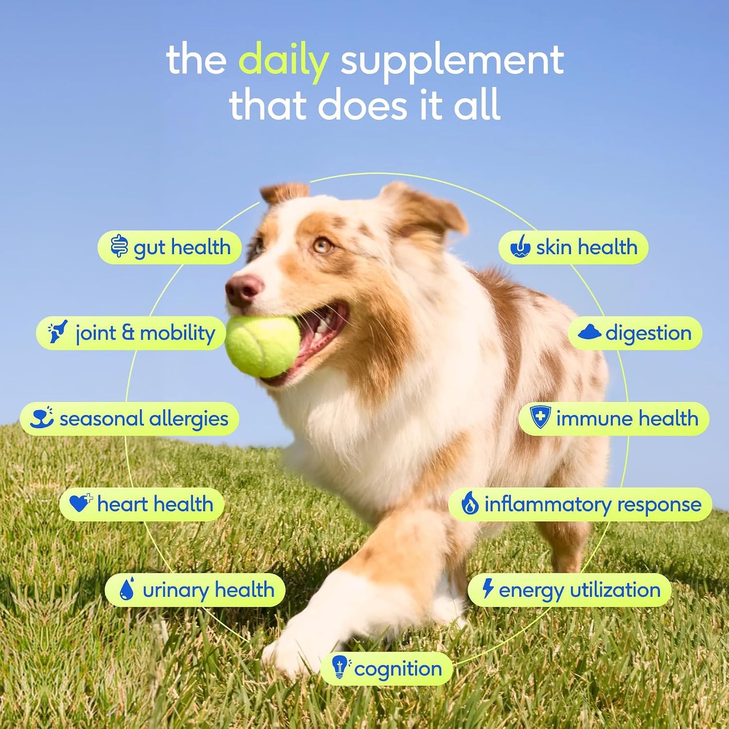 Native Pet 11-in-1 dog multivitamin supplement container