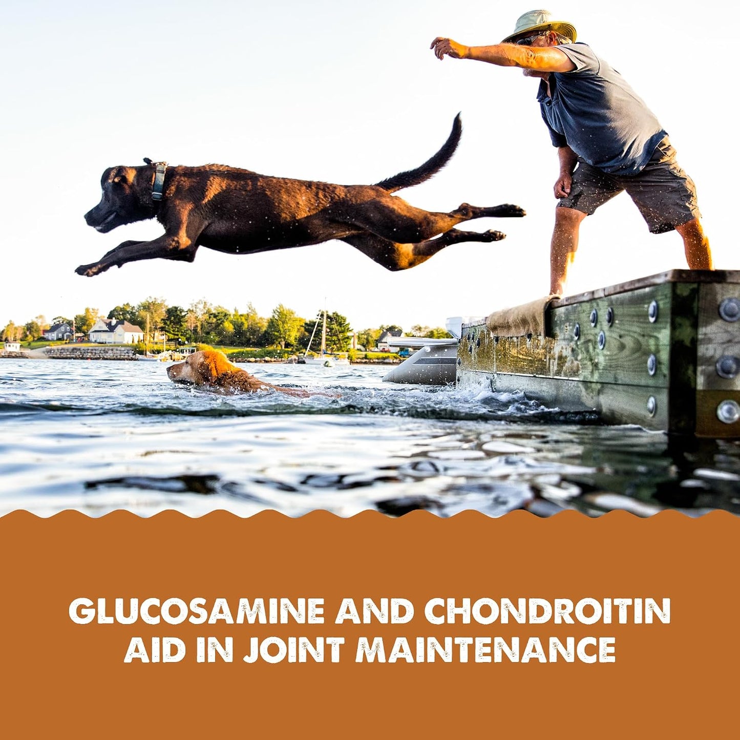 Five active joint ingredients highlighted on the Grizzly Pet Products Liquid Joint Aid packaging
