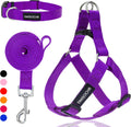 Ipravoci no pull dog harness set front view for training