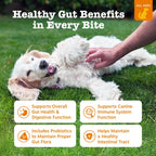 Zesty Paws pumpkin flavored soft chews for gut health