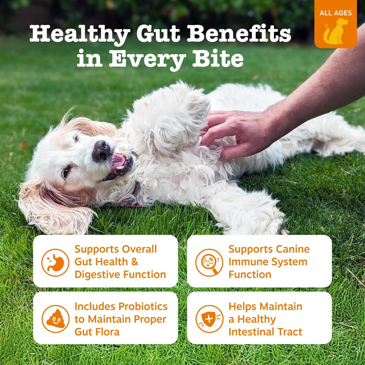 Zesty Paws pumpkin flavored soft chews for gut health