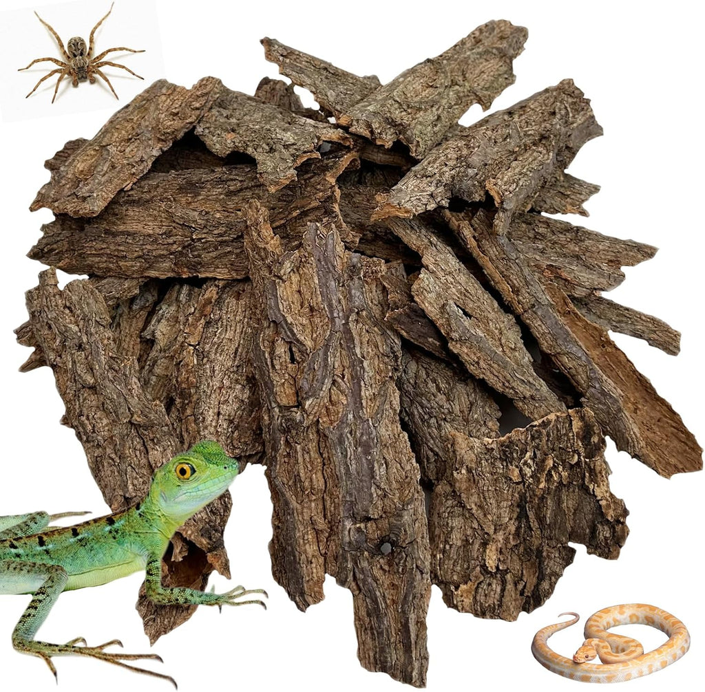 Natural Reptile Cork Bark Bedding Bearded Dragon Climbing Wall Mat 6PCS Cork Wood for Terrarium Background Decor Crested Gecko Tank Accessories for Lizard Snake Chameleon Tortoise Frog - Image 14