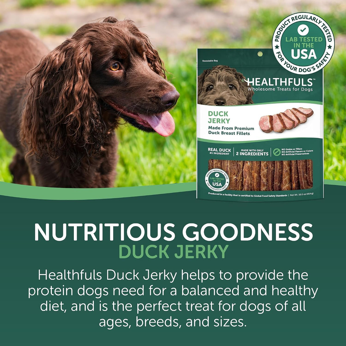 Premium duck breast fillet jerky for dogs