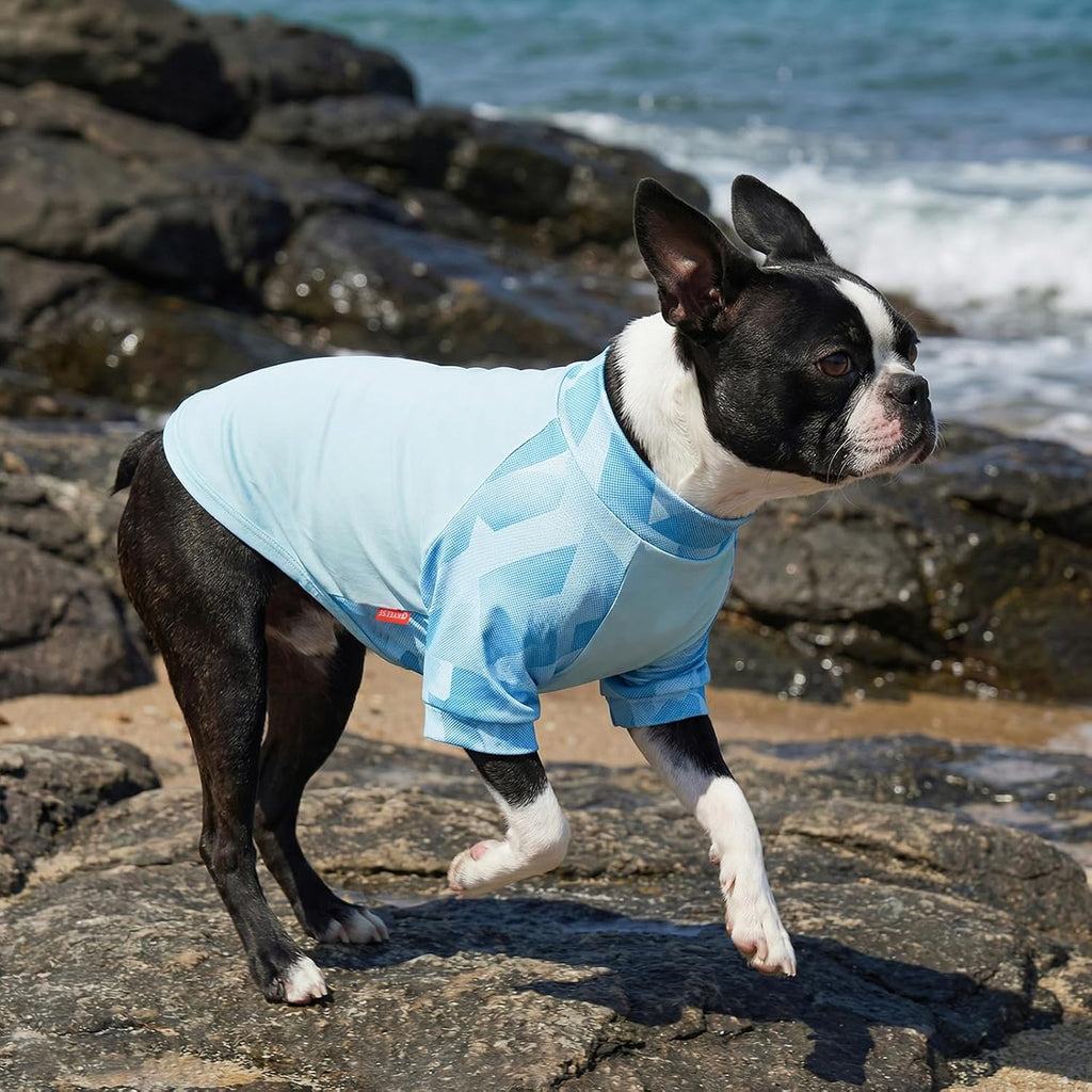 Dog wearing blue Kyeese UPF 50 plus shirt side view