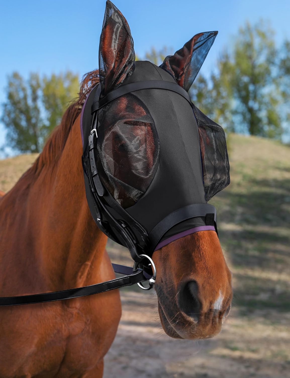 HackFond horse fly mask packaging and product display
