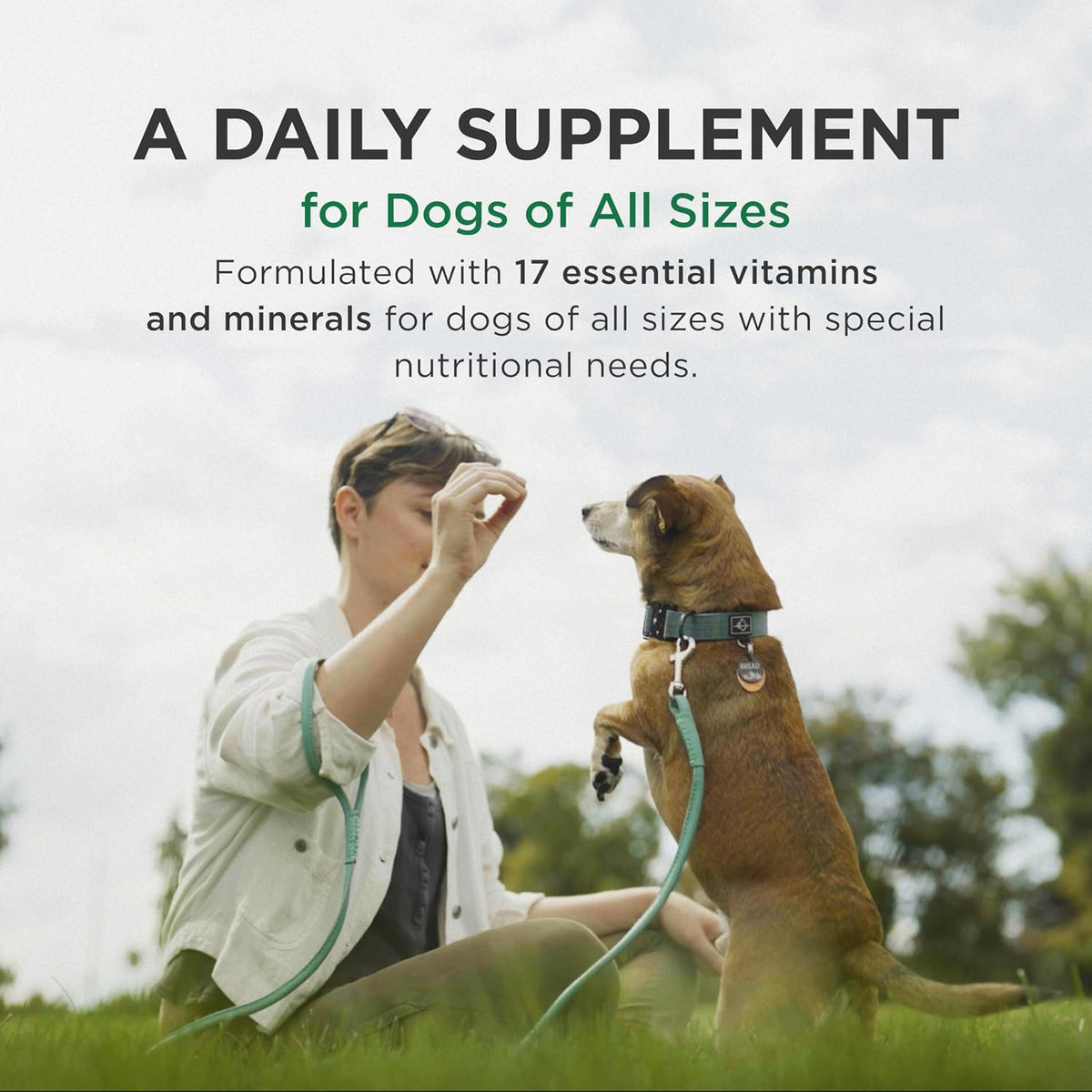 Pet-Tabs nutritional supplement for dogs label details