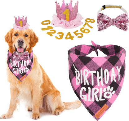 Adoggygo dog birthday party supplies front view featuring pink birthday girl bandana and crown hat.