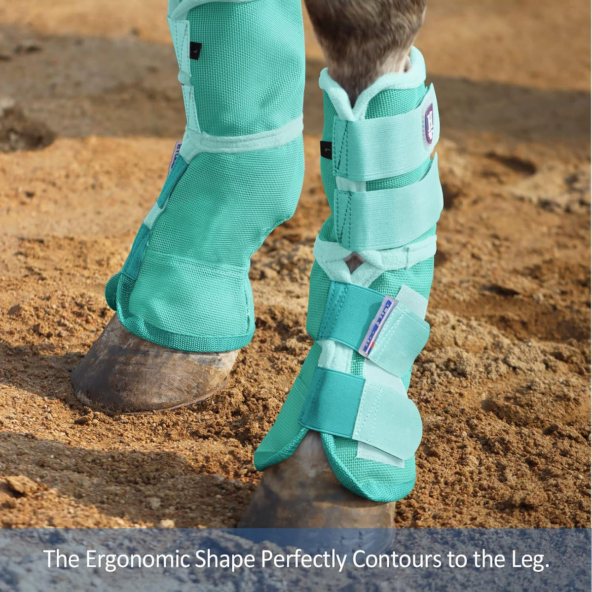 Harrison Howard horse fly boots package set for front and rear legs