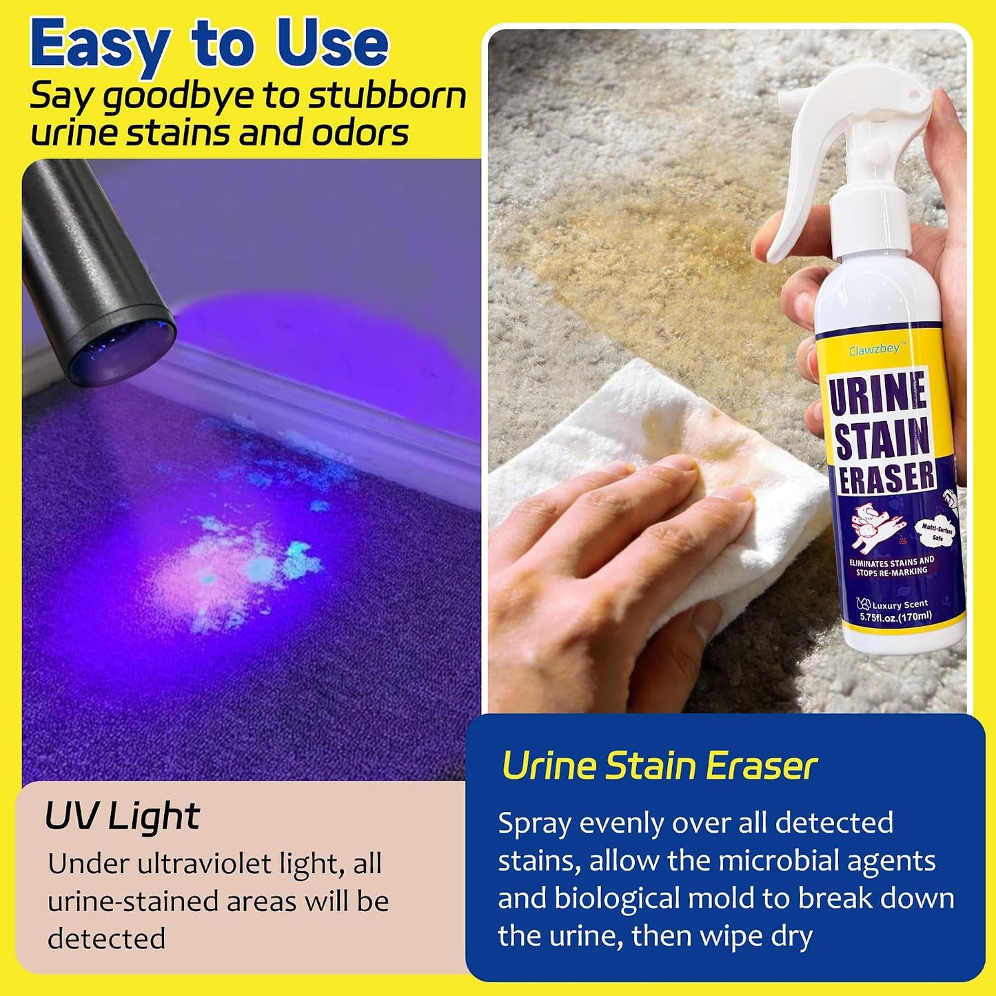 Before and after visual comparison of pet urine spot under UV light versus clean carpet