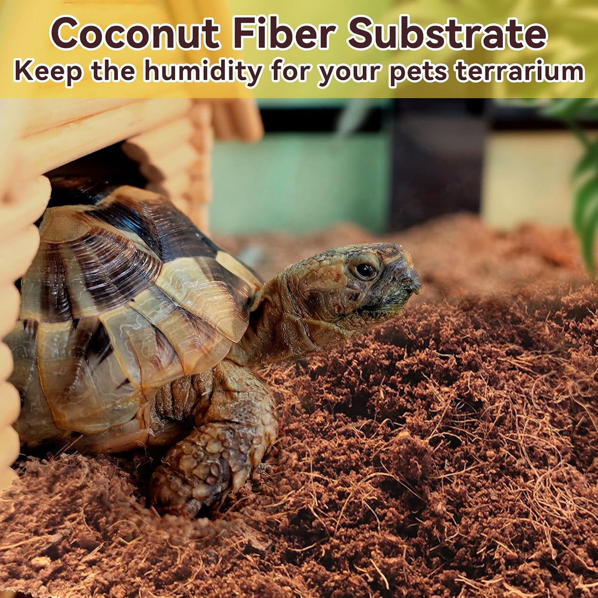 Amphibian habitat using moisture retaining coconut substrate