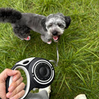 Retractable Dog Leash for Medium & Large Dogs up to 80 lbs, One-Handed Brake, 180kg Strong Nylon Tape, Tangle Free, Anti-Slip Handle (M & L Size) (Dark Green, M-4M) - Image 9