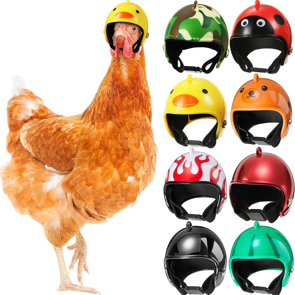 Skylety 8 piece chicken helmet package layout