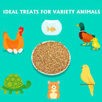 KAYPET dried mealworms nutritional analysis back label info