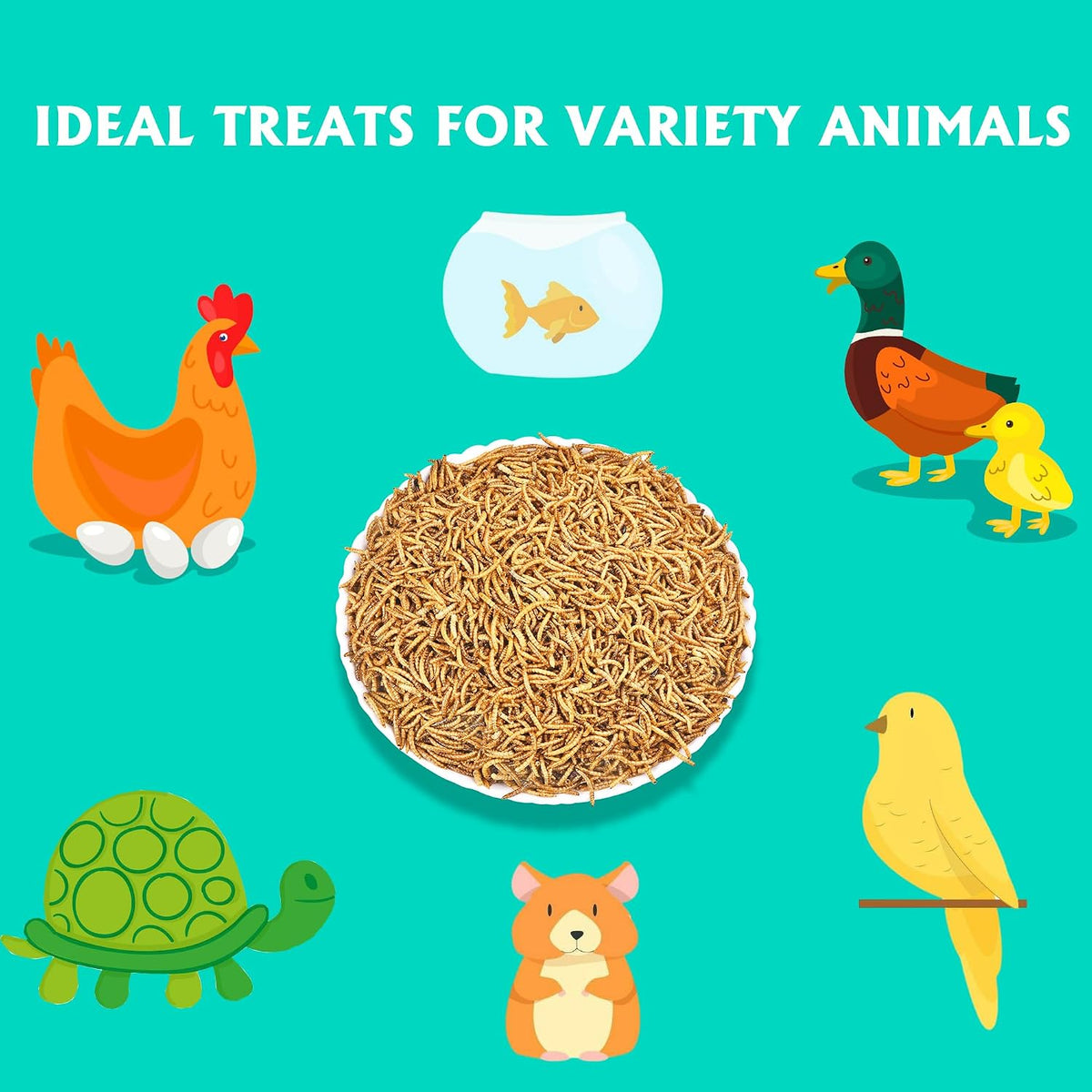 KAYPET dried mealworms nutritional analysis back label info