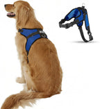 Adjustable straps and hardware on Copatchy pet harness