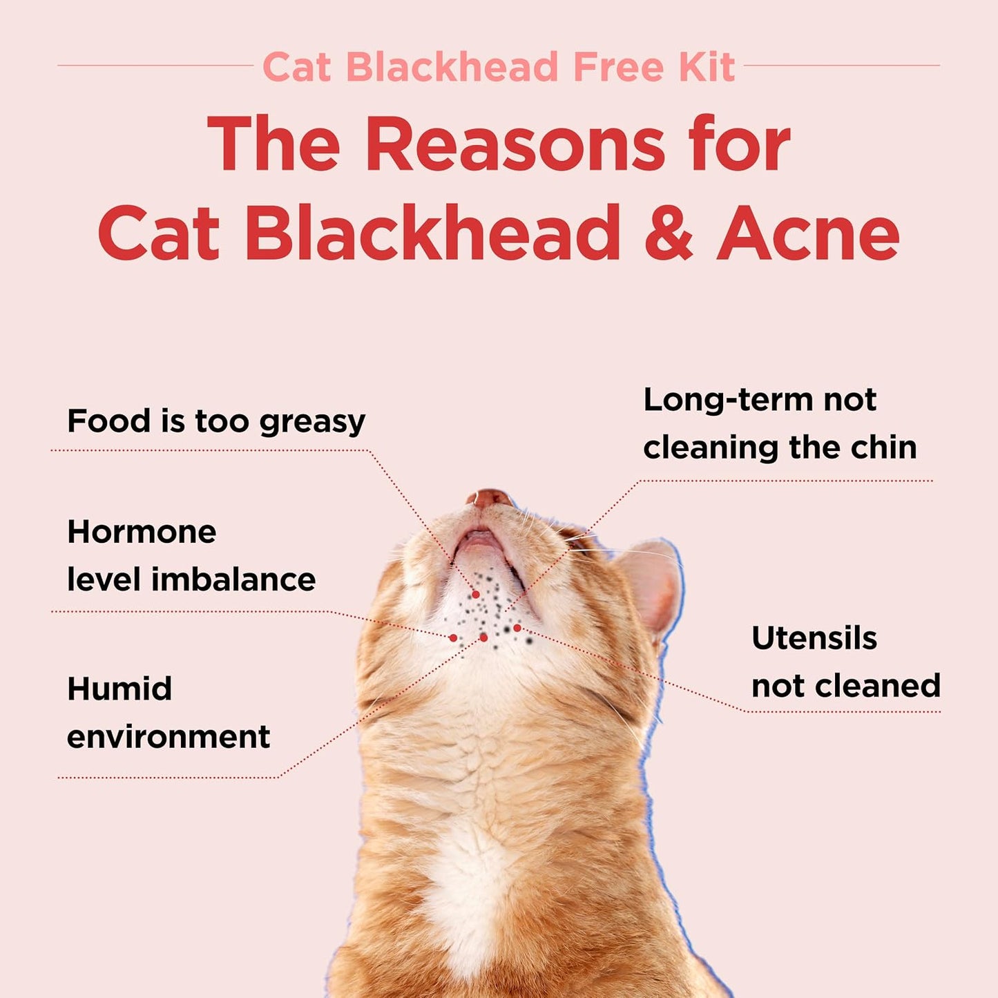 JAYU PET Black Seed Cleaner bottle showcasing the hypoallergenic formula label for pet skincare.