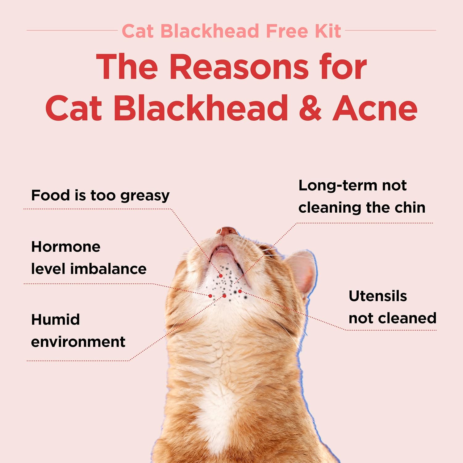 JAYU PET Black Seed Cleaner bottle showcasing the hypoallergenic formula label for pet skincare.