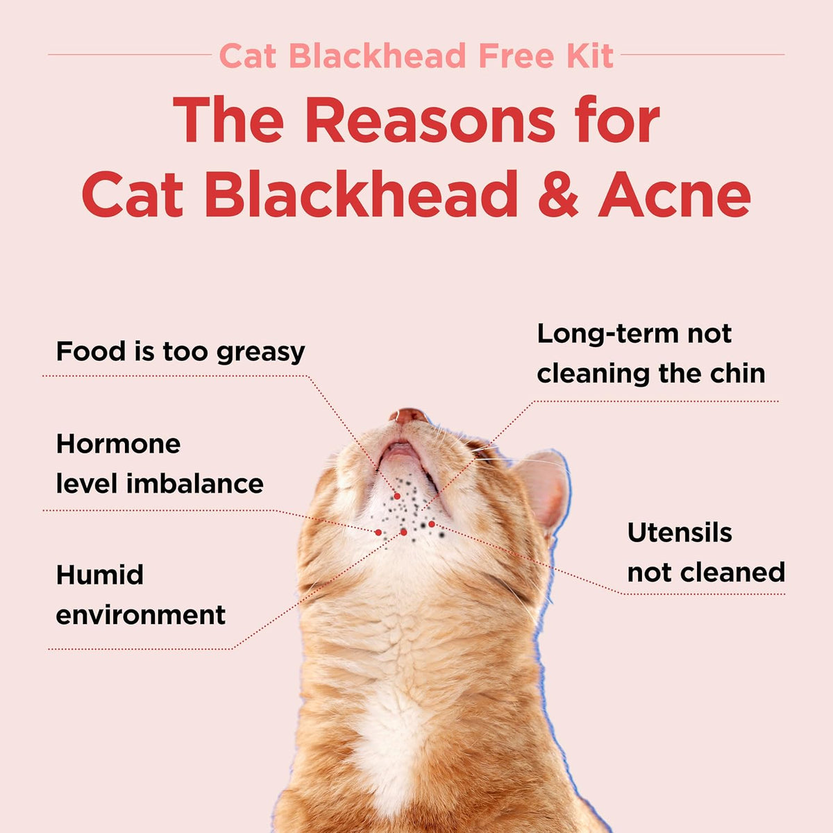 JAYU PET Black Seed Cleaner bottle showcasing the hypoallergenic formula label for pet skincare.